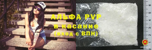 прущие грибы Аркадак