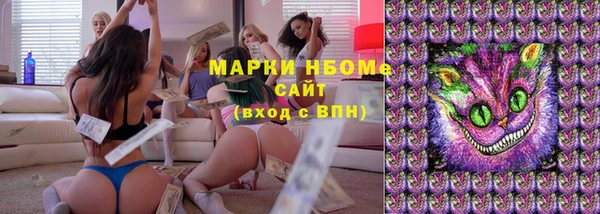 прущие грибы Аркадак