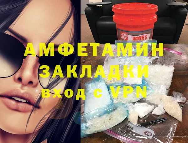 прущие грибы Аркадак