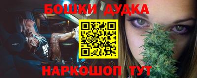 гашик Изобильный