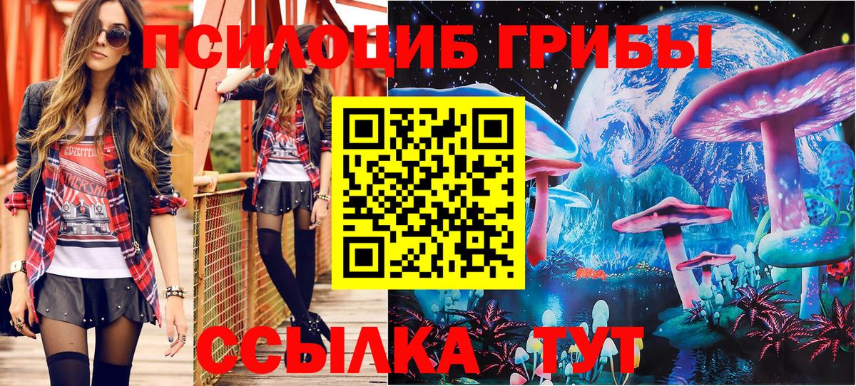 Псилоцибиновые грибы Psilocybe  Вход с VPN  Псилоцибиновые грибы Psilocybe  Лениногорск 