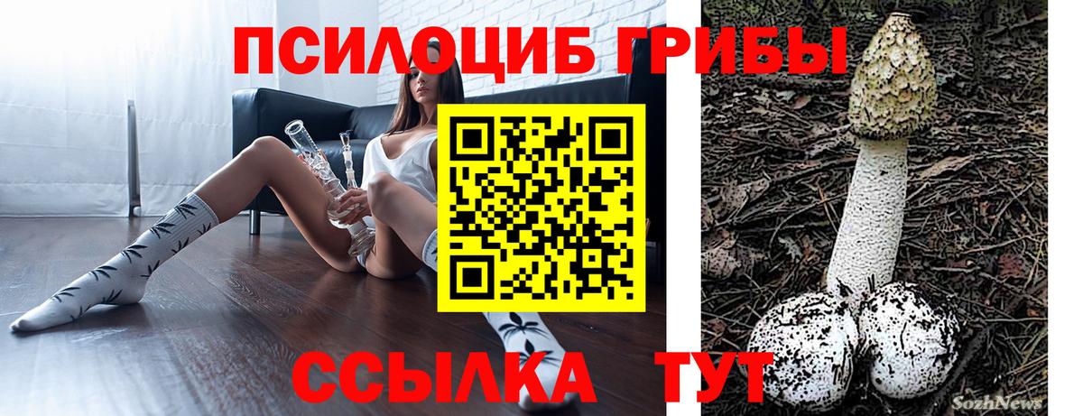 Галлюциногенные грибы Psilocybine cubensis Лениногорск